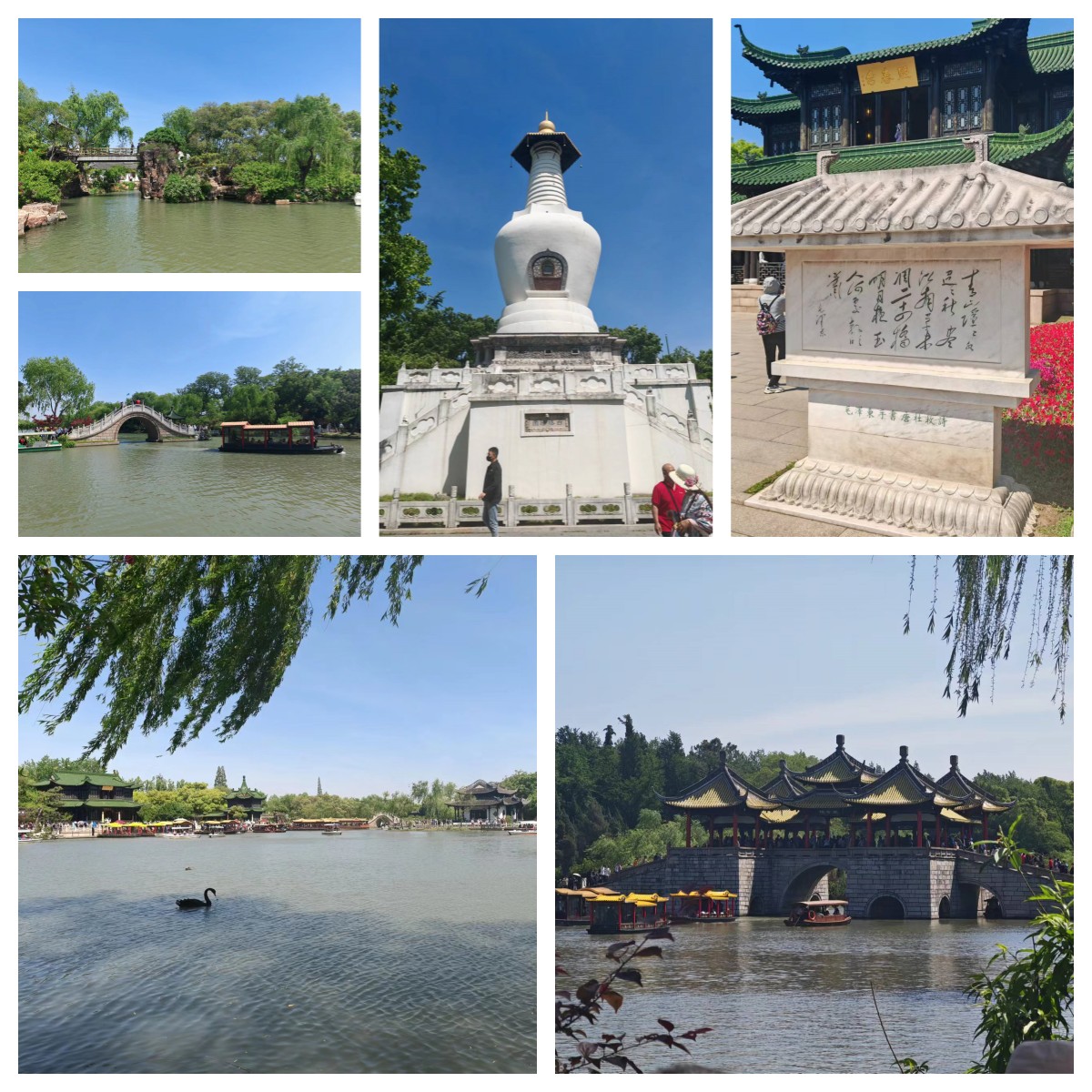 感恩于心，荣耀前行|草莓视频下载大全最新颜料江南之旅圆满结束！